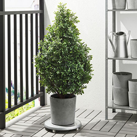 Beton saksı, açık gri, 19 cm, iç/dış mekan