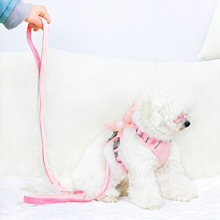 Evcil Hayvan Peluş Ayıcıklı Göğüs Gezdirme Tasması Set 