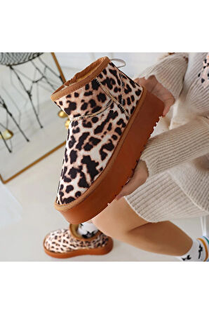 Linne Leopar Süet Bot