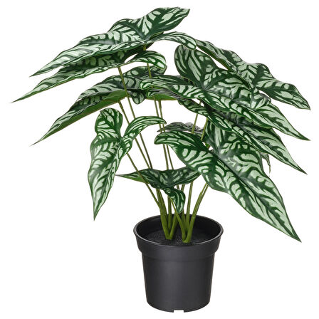 Yapay bitki, yeşil, 15 cm, Cercestis mirabilis, iç/dış mekan