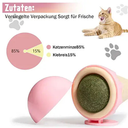 Dondurma Şeklinde Kedi Otu Nanesi