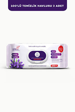 SUBO YÜZEY TEMİZLİK HAVLUSU 100 'LÜ  LAVANTA FERAHLIĞI 3X100