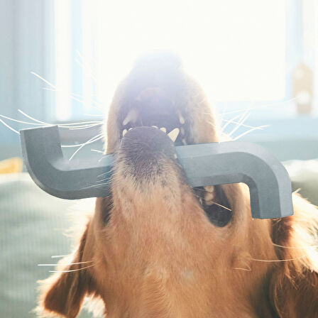 Köpek oyuncağı, gri-mavi