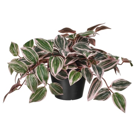 Yapay bitki, yeşil, 12 cm, Tradesceantia, iç/dış mekan