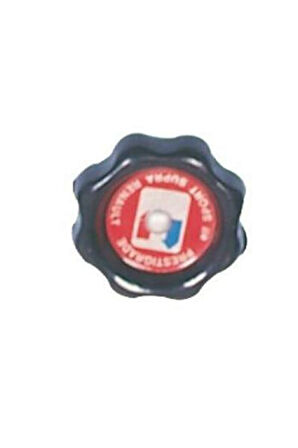 MOTOR YAĞ KAPAĞI R12 7700644083 (10 ADET)