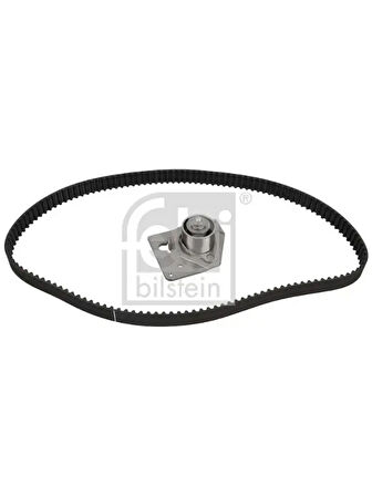 EKSANTRIK RULMAN KITI (TRIGER SETI) TRAFIC ESPACE LAGUNA II 1,9D F9Q