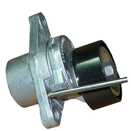 ALTERNATÖR GERGİ RULMANI KÜTÜKLÜ RENAULT LAGUNA 3 2007-2015 DACIA DOKKER 2012 DUSTER 2010 LOGAN 2004 SANDERO 2008 LOGAN 2 2012 SANDERO 2 2012 1.4 K7J 1.6 K4M 8200933753 117502781R