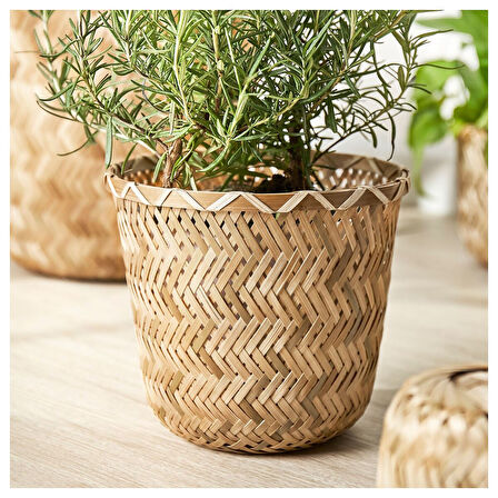 Bambu saksı, bambu, 15 cm
