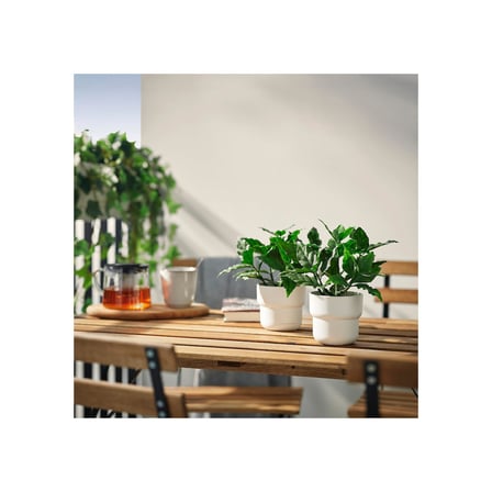 Yapay bitki, yeşil, 9 cm, tatlı defne, iç/dış mekan