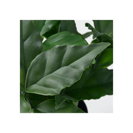 Yapay bitki, yeşil, 9 cm, tatlı defne, iç/dış mekan