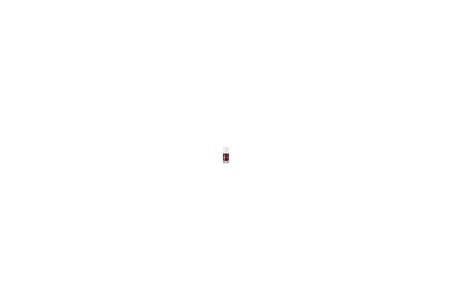Flormar Color Nail Enamel-FC10 Penthouse Oje