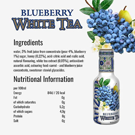Arizona Blueberry Iced Tea 500 Ml