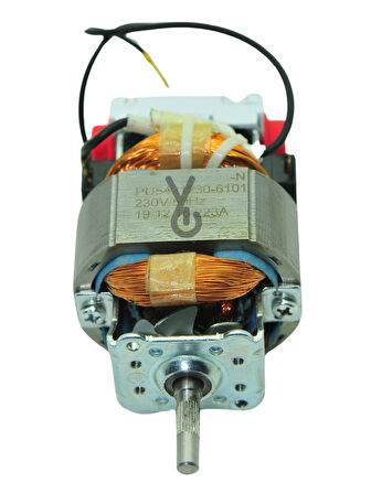 FS-9100011548 MOTOR