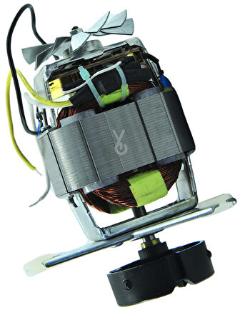 Tefal Juice Express Katı Meyve Sıkacağı Motoru