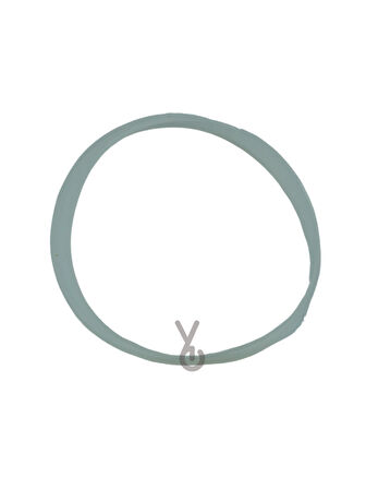 Tefal Optiblend Doğrayıcı Kapak Contası