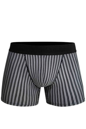 Doreanse Erkek Modal Çizgi Desenli Normal Paça Boxer 1866
