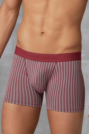 Doreanse Erkek Modal Çizgi Desenli Normal Paça Boxer 1866