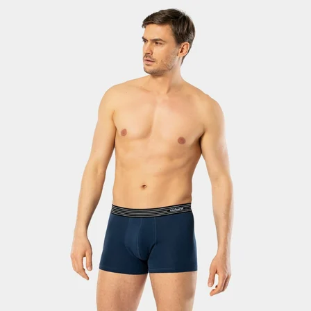 Cacharel Erkek 3'lü Boxer 1320/Lacivert-İndigo-Saks