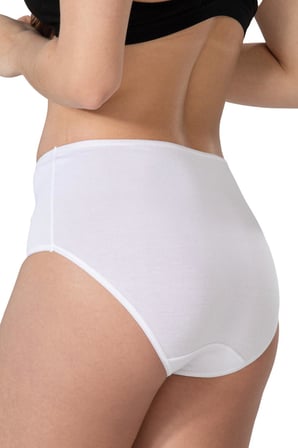 BEYAZ MI Emay 1445 Modal Cotton Yüksekbel Dantelli Külot