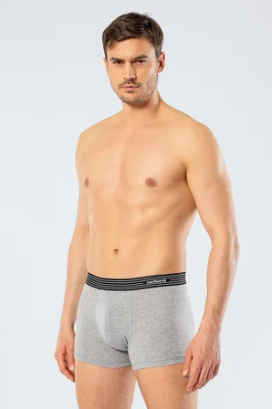Cacharel Erkek 2'li Boxer 1318/GRİ