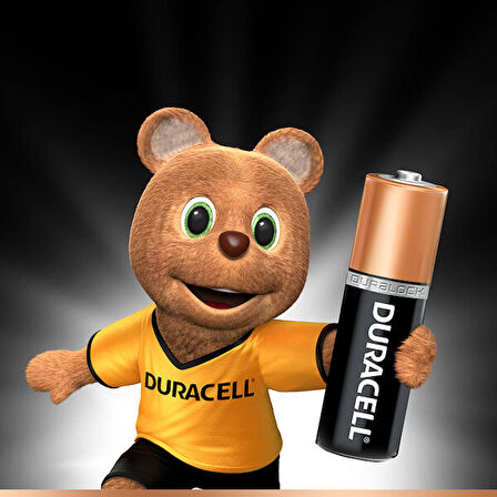 Duracell AA 1,5V pil (2 Adet)