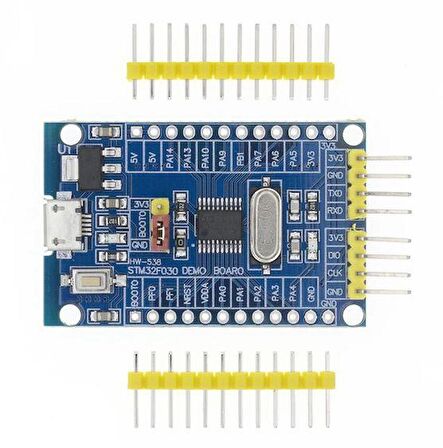 STM32F030F4P6 Demo Board v1.1 Geliştirme Kartı
