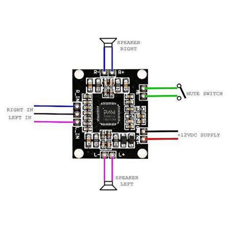 Pam8610 2X15W Amfi Modülü Amplifier Board Module