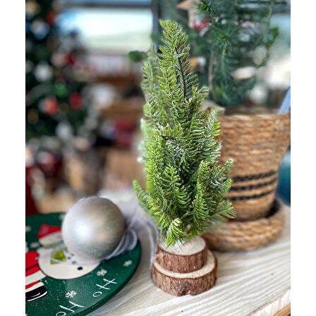 Yılbaşı Ağacı Kar Kaplı Mini 30cm