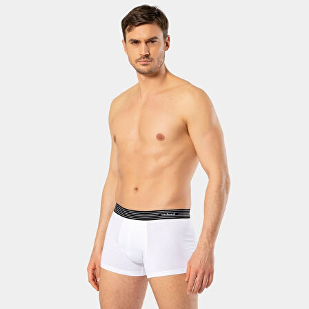 Cacharel Erkek 3'lü Boxer 1320/Beyaz-Siyah-Gri