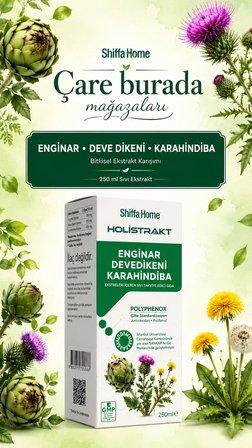 HOLİSTRAKT - Enginar & Devedikeni & Karahindiba İçeren Sıvı Ekstrat 250 Ml