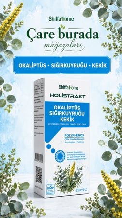 HOLİSTRAKT - Okaliptus & Sığırkuyruğu & Kekik İçeren Sıvı Ekstrat 250 Ml (Sinirliot & Hatmi & Ardıç)