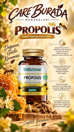 Propolis Kapsül 1120 Mg (60 Kapsül) & Natürel Sızma Zeytinyağı 20 Ml (Dahilen)