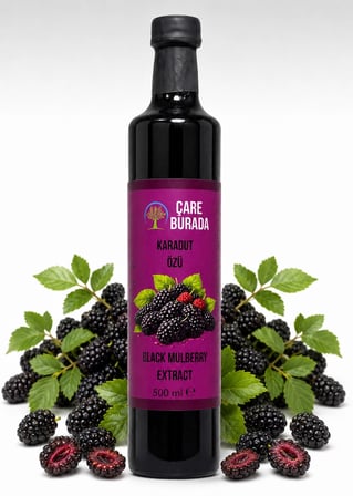 ÇareBurada Karadut Özü 500 ml | Yoğun Karadut Lezzeti