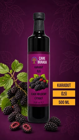 ÇareBurada Karadut Özü 500 ml | Yoğun Karadut Lezzeti