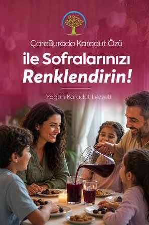ÇareBurada Karadut Özü 2 Adet 500 ml | Yoğun Karadut Lezzeti