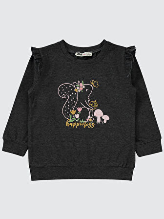 Civil Girls Kız Çocuk Sweatshirt 2-5 Yaş Füme