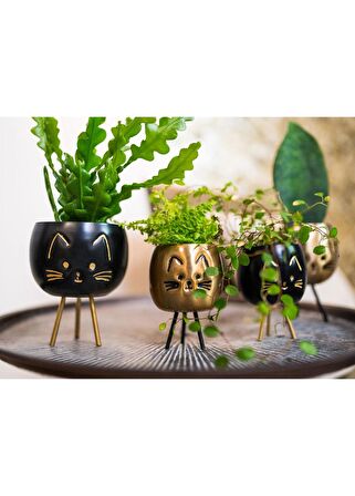 Kedi Desenli Metal Saksı  Siyah Çap 8cm Yükseklik 11cm  