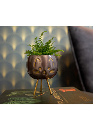 Hayvan Desenli Ayaklı Saksı Mor Y 11cm