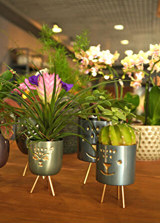 Hayvan Desenli Ayaklı Saksı Mavi Y 13cm