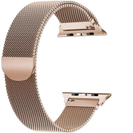 Gpack Apple Watch 44 mm Kılıf Metal Kayış Kordon