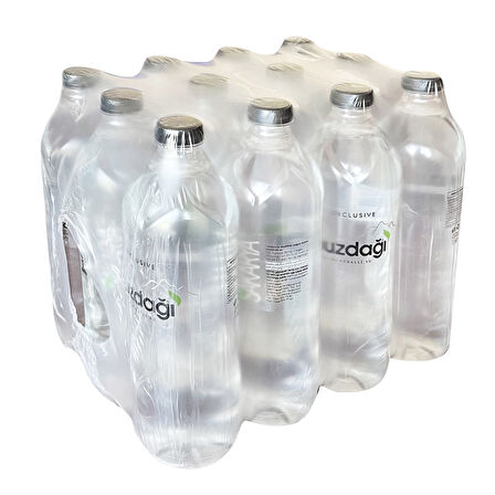 Buzdağı Su Exclusive Cam Pet 1000 ml x 12 Adet