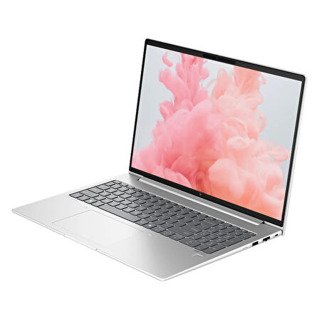 HP EliteBook 660 G11 Ultra 5 125U 32GB DDR5 2TB SSD 16" WUXGA W11P Dizüstü Bilgisayar & ÇANTA