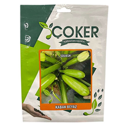 Beyaz Kabak Tohumu 10gr Paket