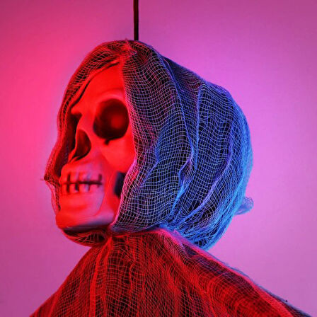 Periboia Ürpertici Kuru Kafa Hayalet Saçaklı Dekor