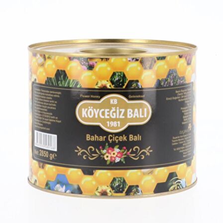 Köyceğiz Balı Bahar Çiçek Balı 2850 G Teneke
