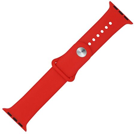 Gpack Apple Watch 42mm Kılıf Silikon Kordon Düz Renkli KRD 11