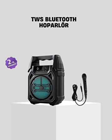 6.5 İnç Bluetooth Hoparlör Mikrofonlu Taşınabilir Karaoke ve Parti Sistemi