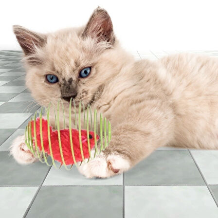 CELİK AVM® Yaylı Metal Fareli Kafes Kedi Oyun Topu Sıçrayan Spiral Kedi Topu