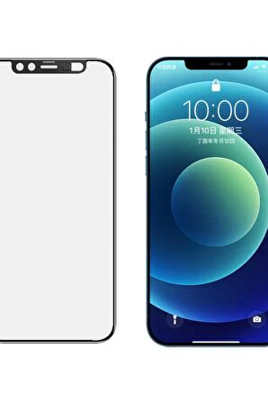 Apple iPhone 12 Secret Temperli Cam Ekran Koruyucu Kırılmaz Cam