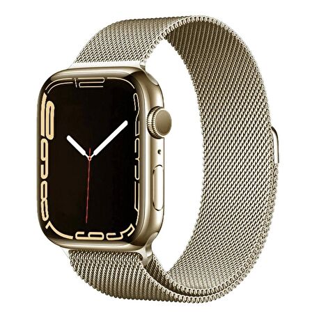 Apple Watch 42mm Lopard Band-01 Metal Kordon